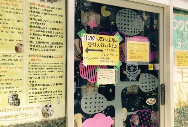 月島 フクロウのみせ