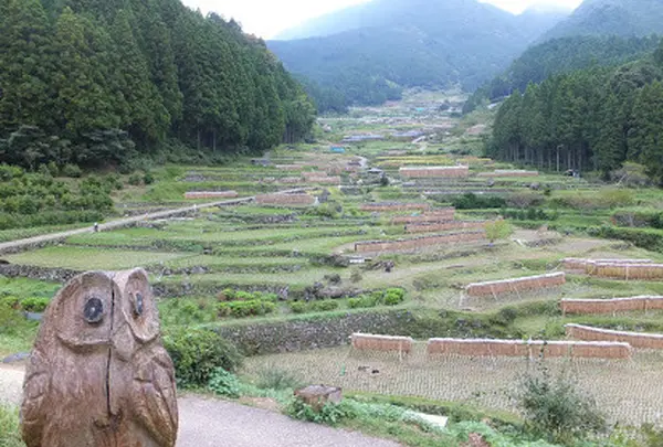 四谷千枚田