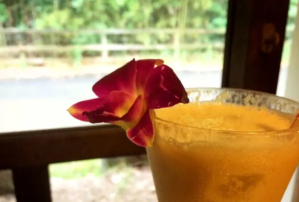 トロピカルコースト