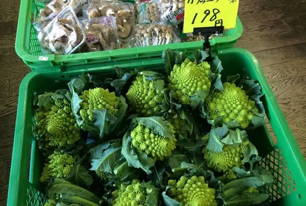 食菜市場きはら