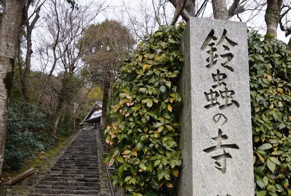 鈴虫寺（華厳寺）の写真・動画_image_171725