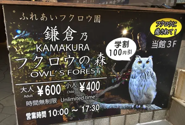 鎌倉乃フクロウの森