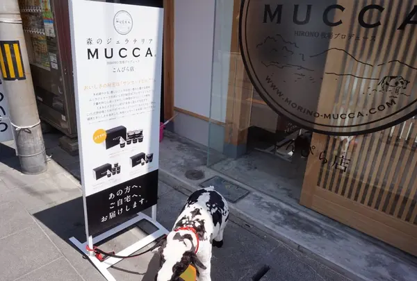 森のジェラテリアMUCCAこんぴら店