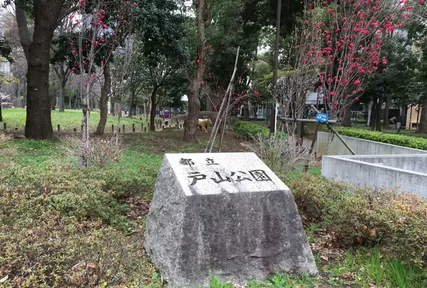 戸山公園（交通公園）の写真・動画_image_172262