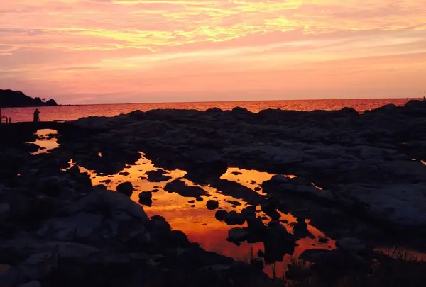 鴨ヶ浦の写真・動画_image_172290