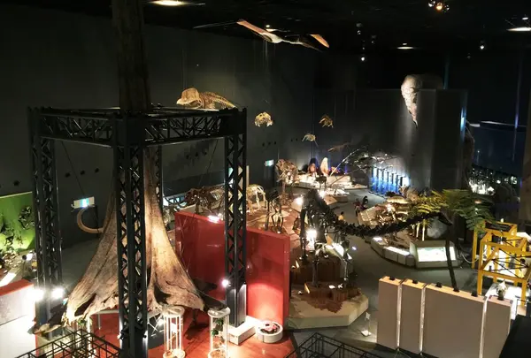神奈川県立生命の星・地球博物館
