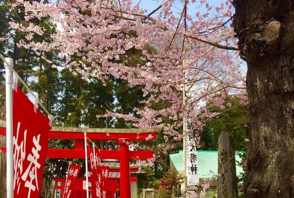 経塚稲荷神社の写真・動画_image_172790
