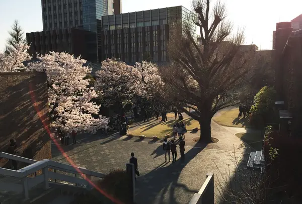 立教大学 池袋キャンパスの写真・動画_image_172813