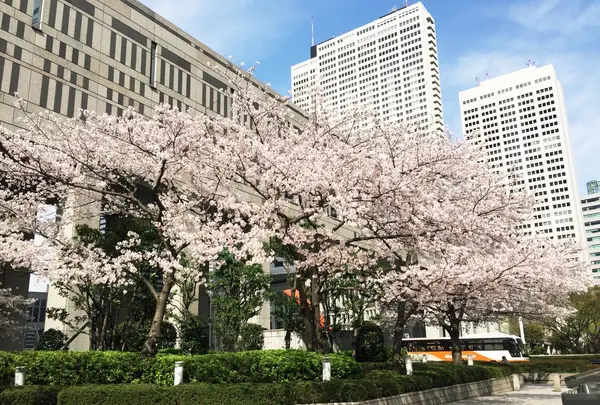 東京都庁の写真・動画_image_173321