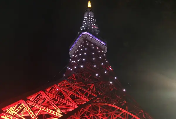 東京タワーの写真・動画_image_173333