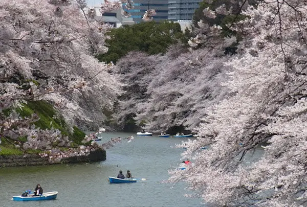 千鳥ヶ淵緑道