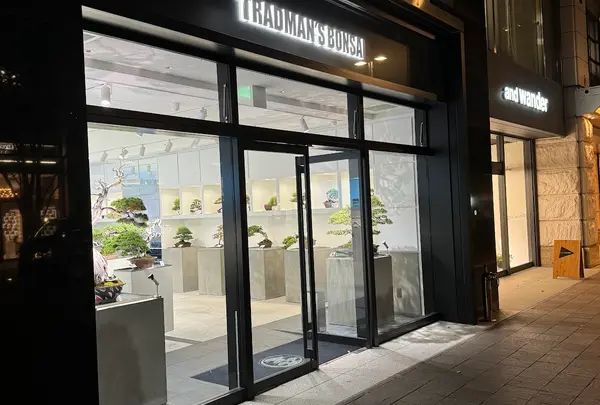 TRADMAN'S TOKYO -MARUNOUCHI BONSAI STORE-