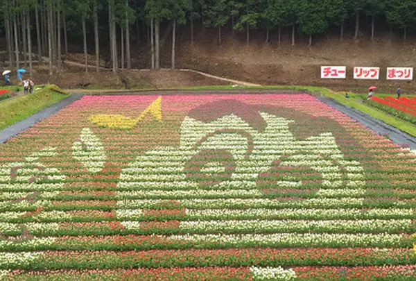 たんとう花公園