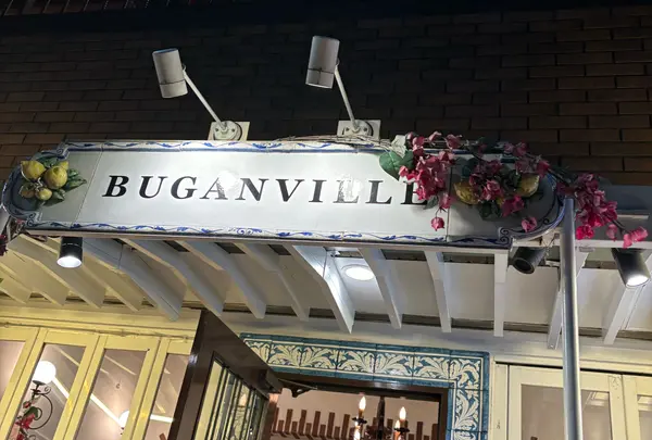 BUGANVILLE HIROOの写真・動画_image_1739743