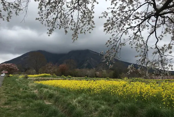 高森温泉館