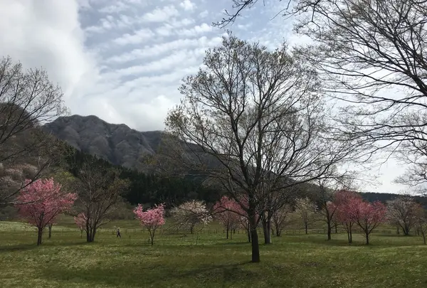 高森町 鍋の平キャンプ場