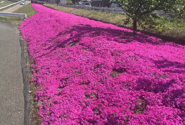 あそ望の郷くぎの
