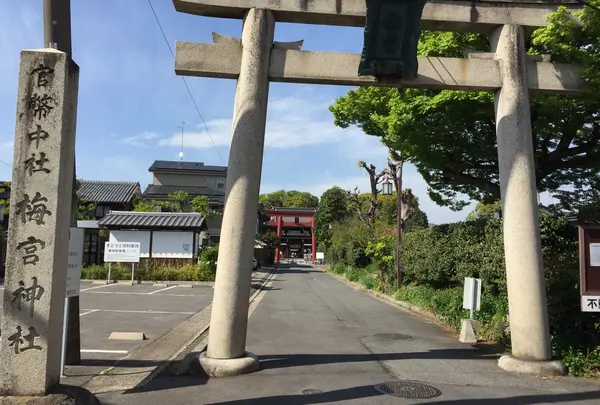 梅宮大社の写真・動画_image_174479