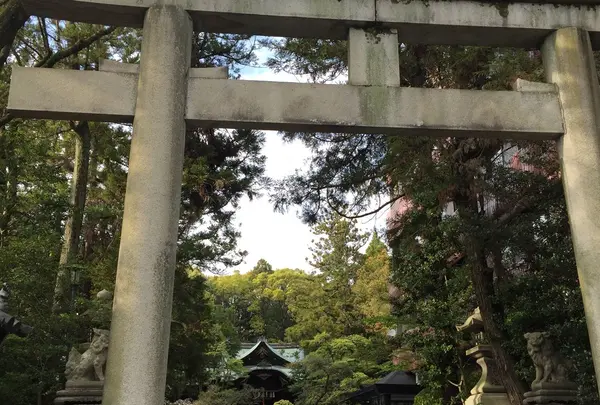 岡崎神社の写真・動画_image_174481