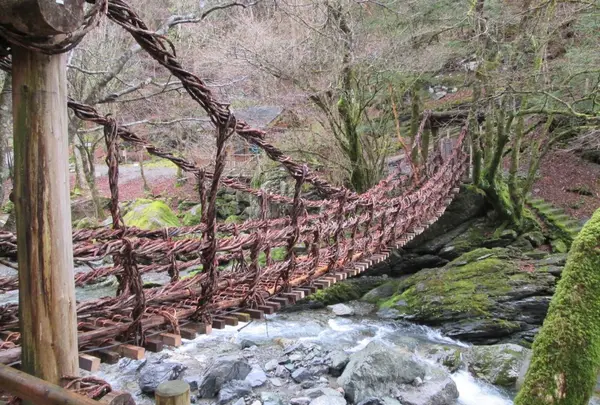 奥祖谷二重かずら橋