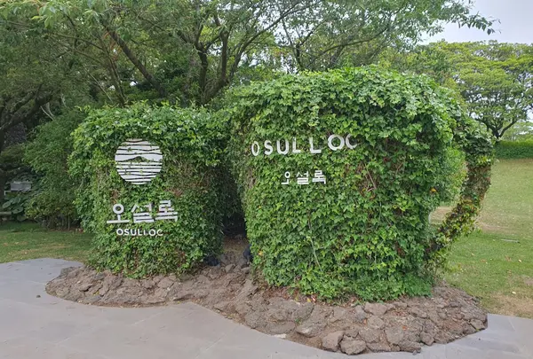 オソルロック・ティー・ミュージアム