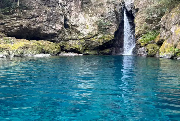 にこ淵の写真・動画_image_1749533