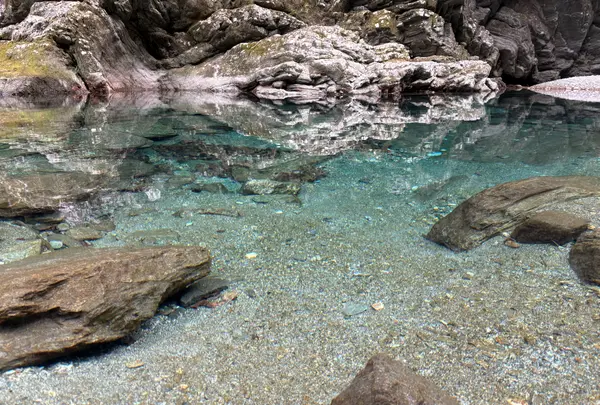 安居渓谷の写真・動画_image_1749538