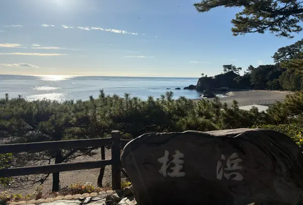 桂浜の写真・動画_image_1750045