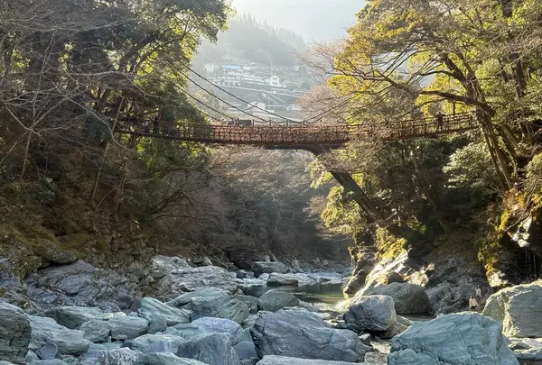祖谷のかずら橋の写真・動画_image_1750056