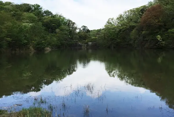 篠田砂防池