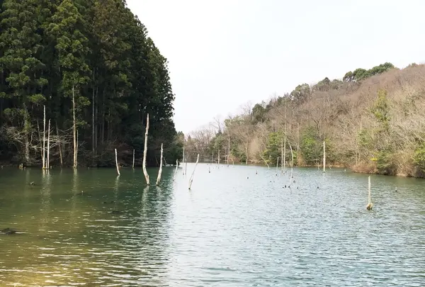 大正池