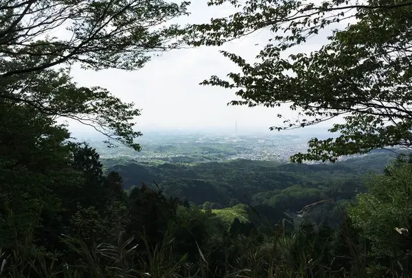 物見山