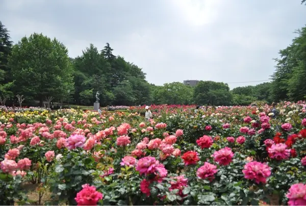 与野公園