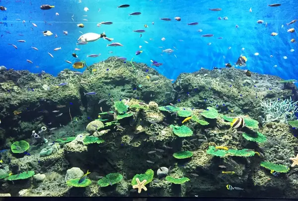 アクアワールド茨城県大洗水族館