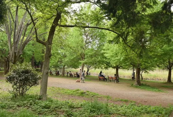 善福寺公園
