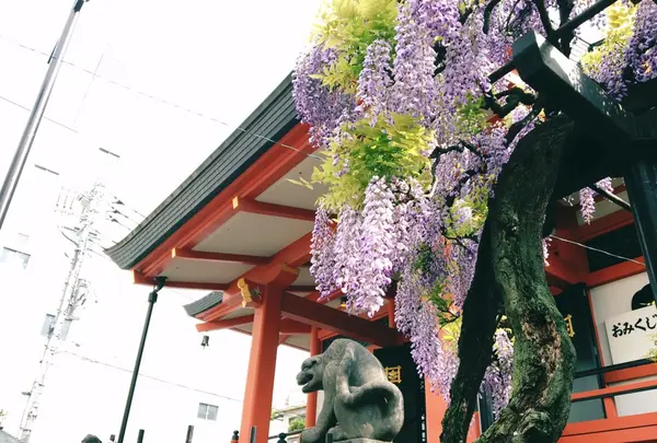 善国寺