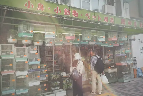 関和鳥獣店