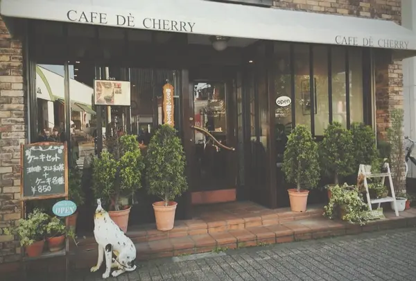 cafe de cherry