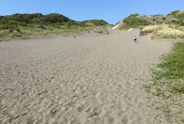 砂山