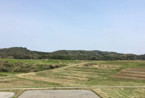 大笹波水田