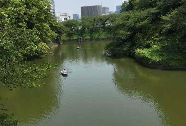 千鳥ヶ淵