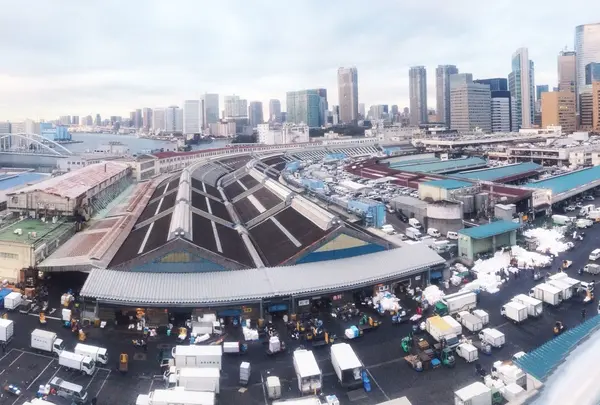 東京都中央卸売市場築地市場の写真・動画_image_176837