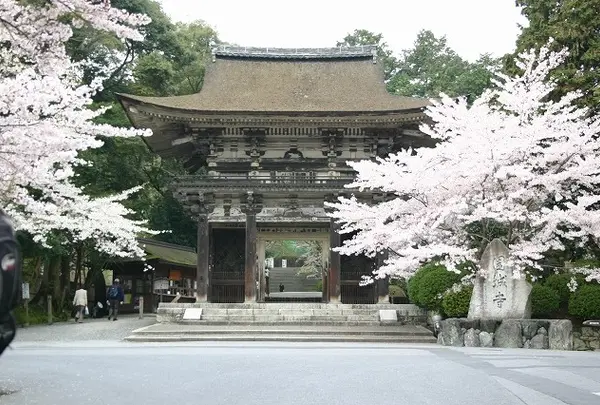 長等山 園城寺（三井寺）