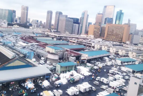 東京都中央卸売市場築地市場の写真・動画_image_177034