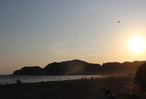由比ガ浜海水浴場の写真・動画_image_177101