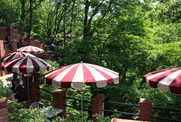 CafeTerrace樹ガーデン