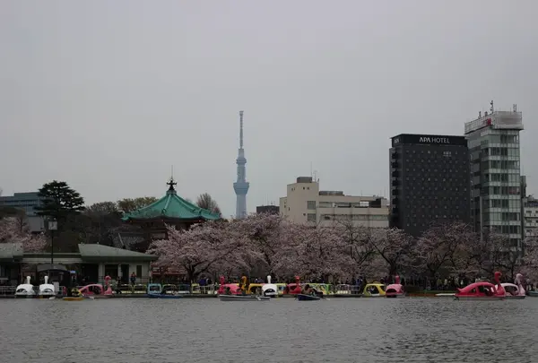 上野恩賜公園