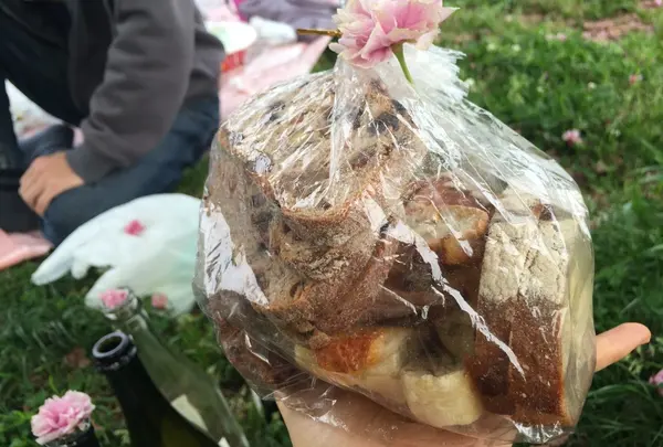 西郷山公園