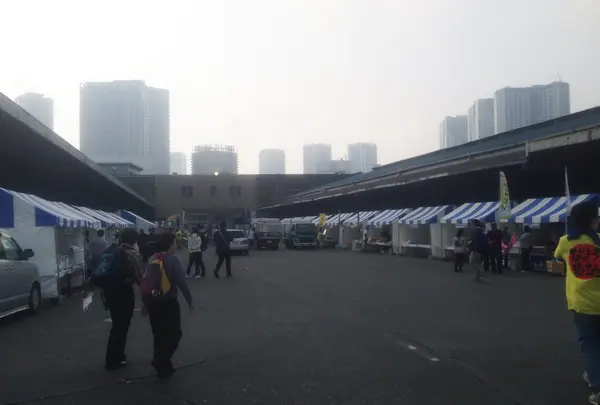 東京都中央卸売市場築地市場の写真・動画_image_177265
