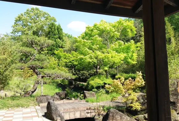 高山竹林園の写真・動画_image_177588